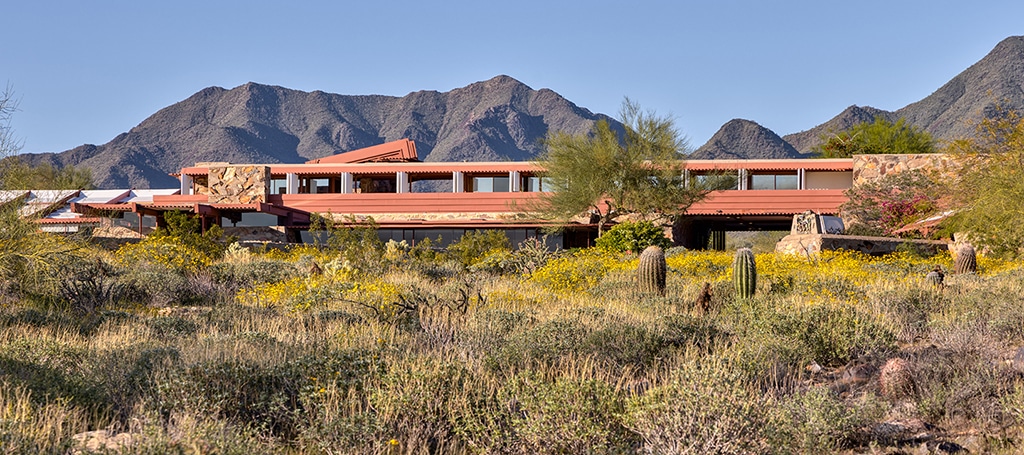 spring vegitation in front of Taliesin West