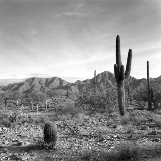 Frank Lloyd Wright on Desert Life - Frank Lloyd Wright Foundation