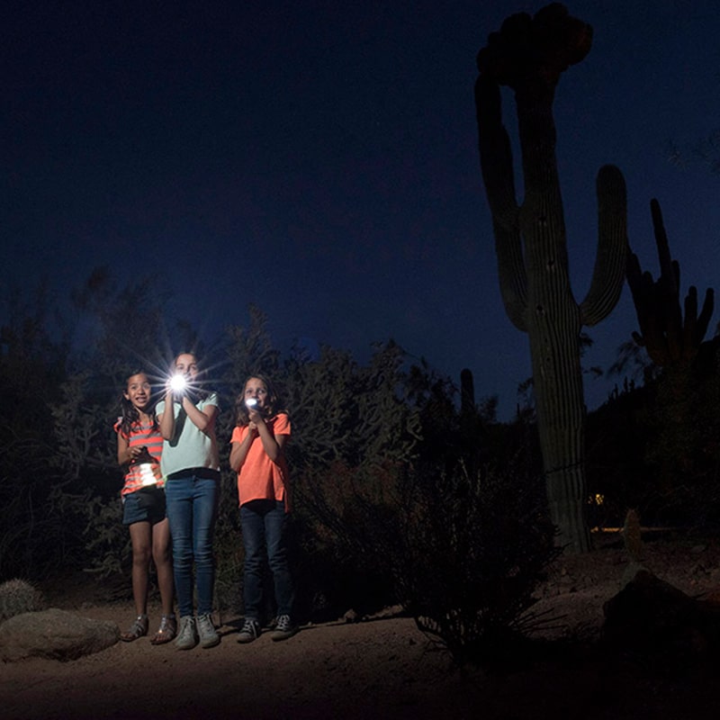 Three girls holding flashlights in the desert