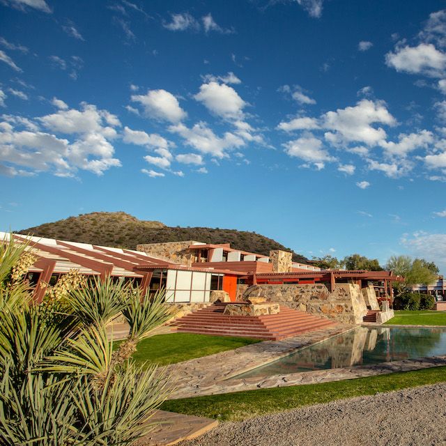Taliesin west with plants in the foreground