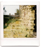Double exposure of Taliesin limestone wall with garden