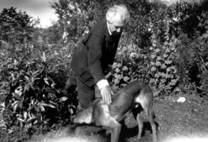 Frank Lloyd Wright petting a dog in the garden