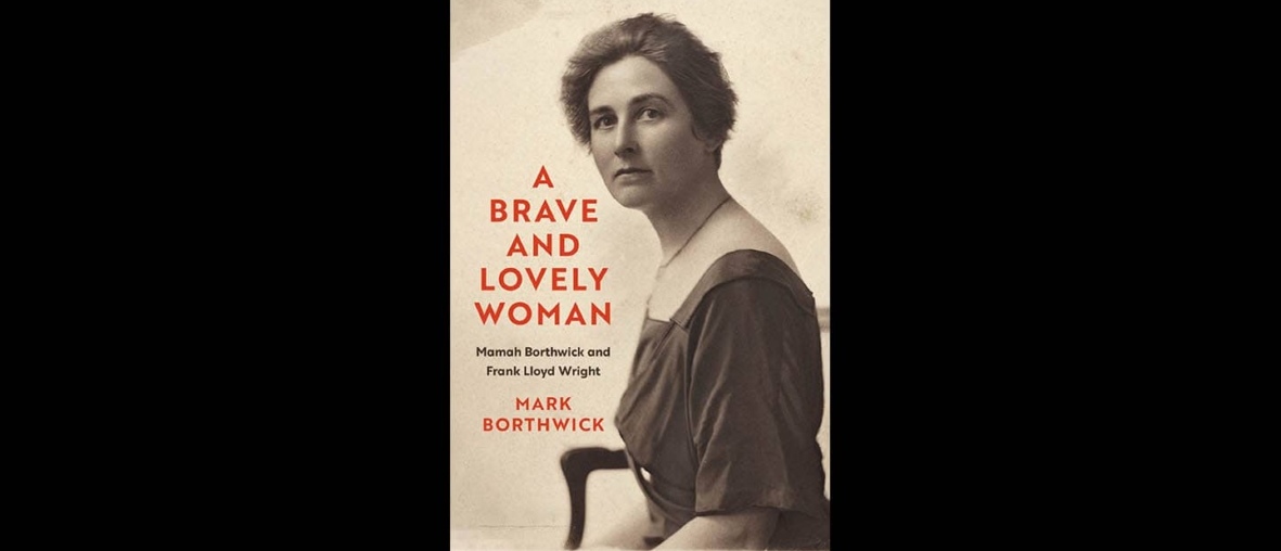 book cover A Brave and Lovely Woman