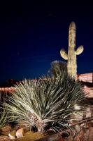 evening at Taliesin West v3