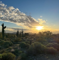 Evening in the desert near Taliesin West