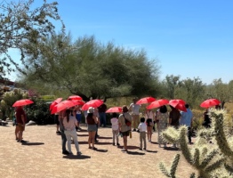 in-depth tour people with red umbrellas