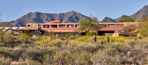 spring vegitation in front of Taliesin West