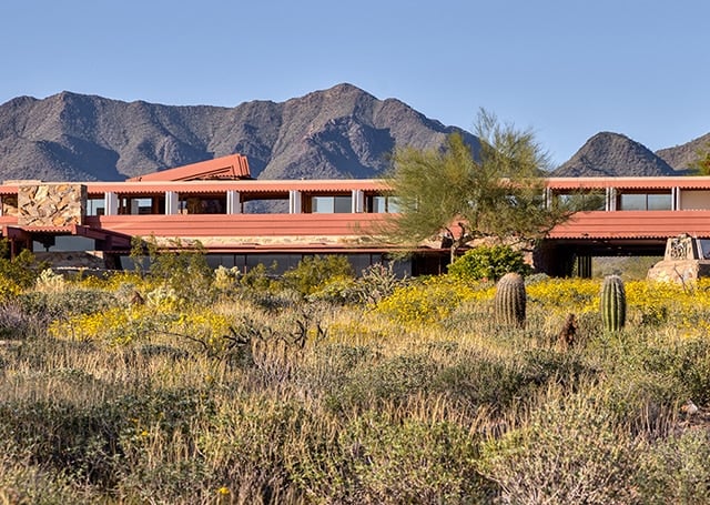 spring vegitation in front of Taliesin West