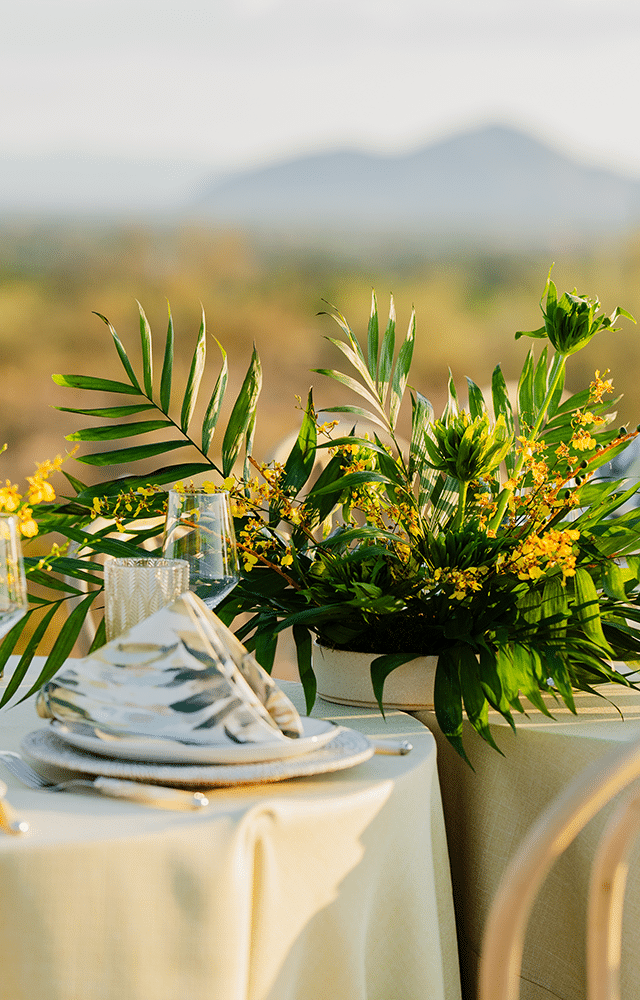 evening corporate event at Taliesin West on the prow