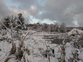 Taliesin from the pond during the first snow of winter 2019-2020.