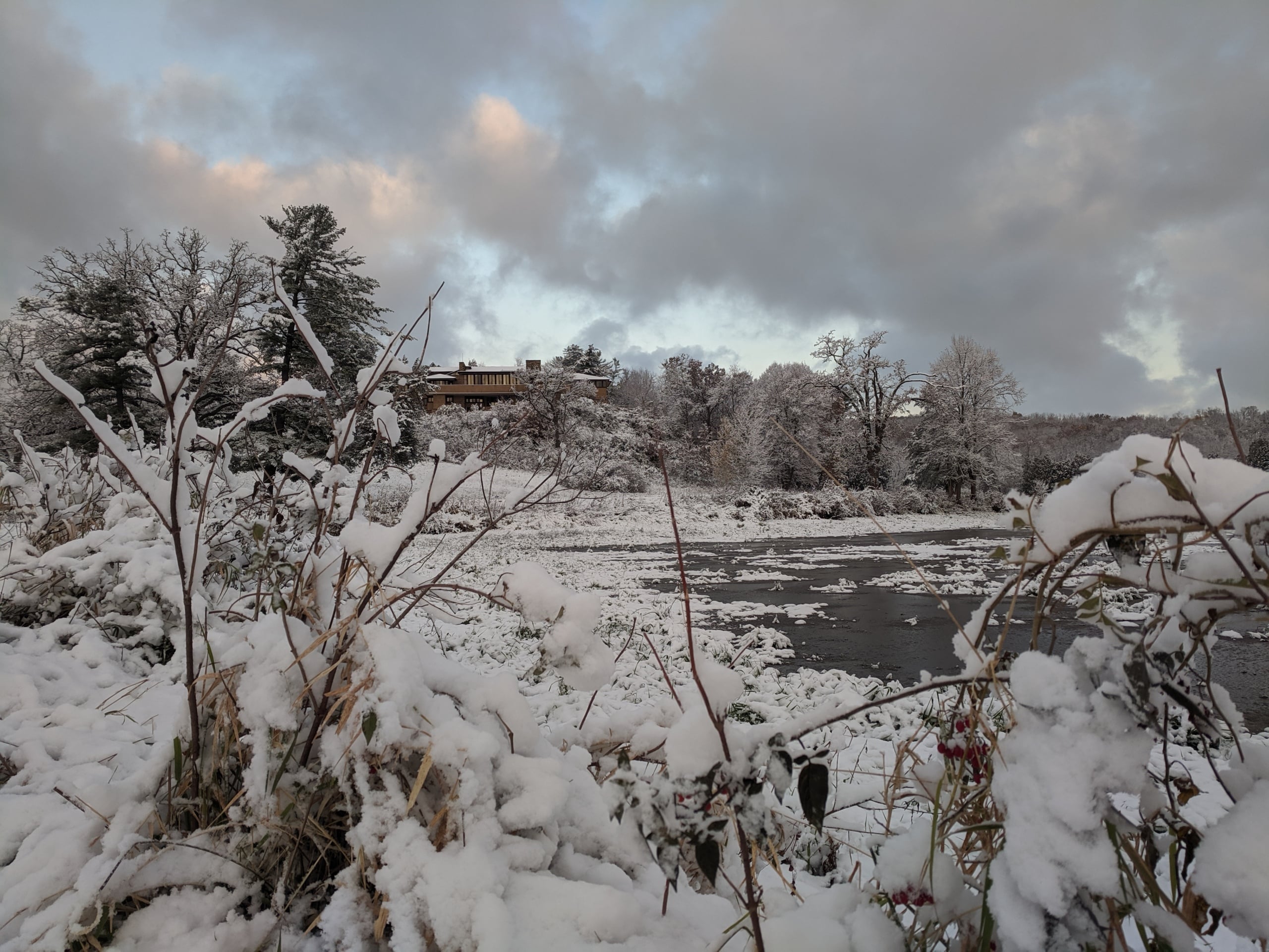 Taliesin from the pond during the first snow of winter 2019-2020.