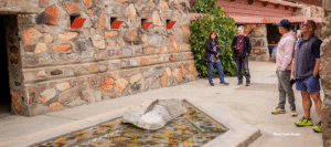 Guests at Taliesin West viewing the Desert Mirror exhibit