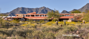 spring plants and flowers in front of Taliesin West