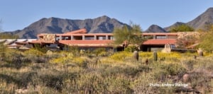 spring plants and flowers in front of Taliesin West