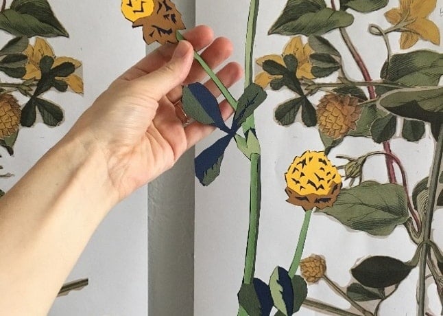 cut paper example
