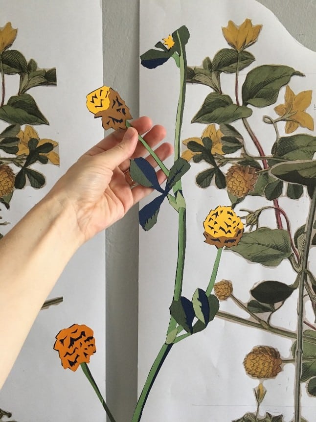 cut paper example