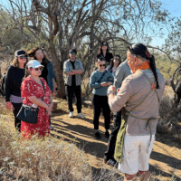 guests learning about editble plants