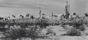 Ocatilla camp viewed from the desert