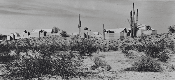 Ocatilla camp viewed from the desert