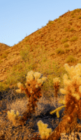 desert on golden hour hike