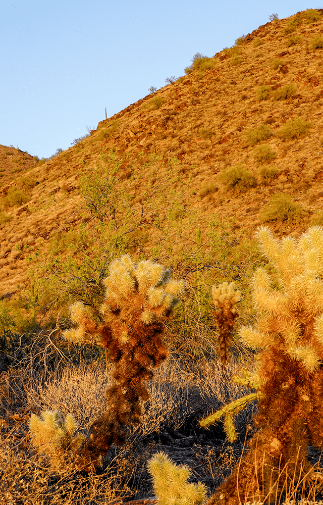golden hour sunset hike